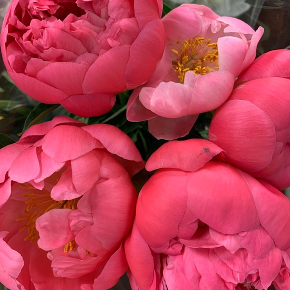 Life is a party, dress like it! - Picture 4 of 10